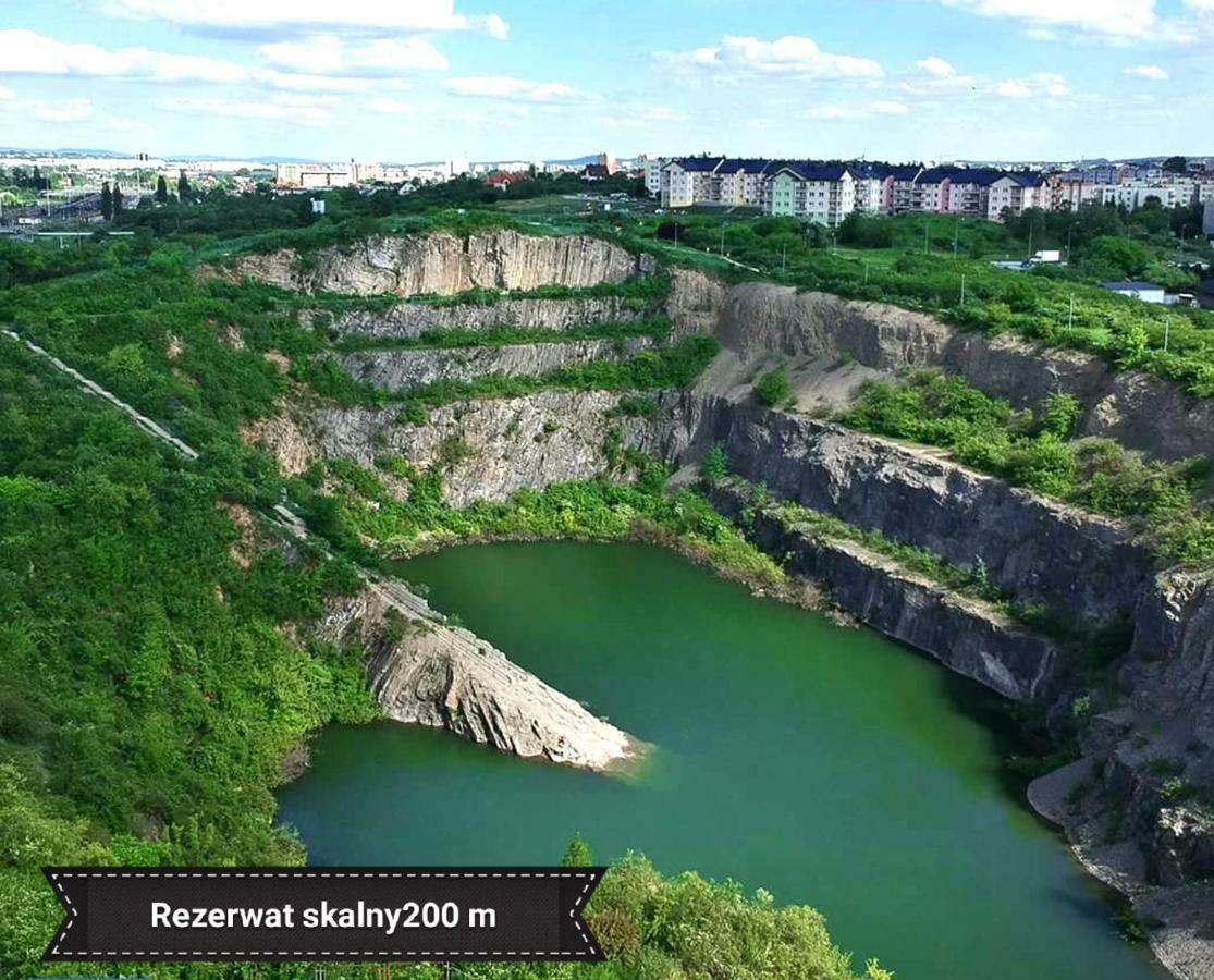 Black Rose Apartament Targi 3 Km, F-Ry Vat Kielce Exterior foto
